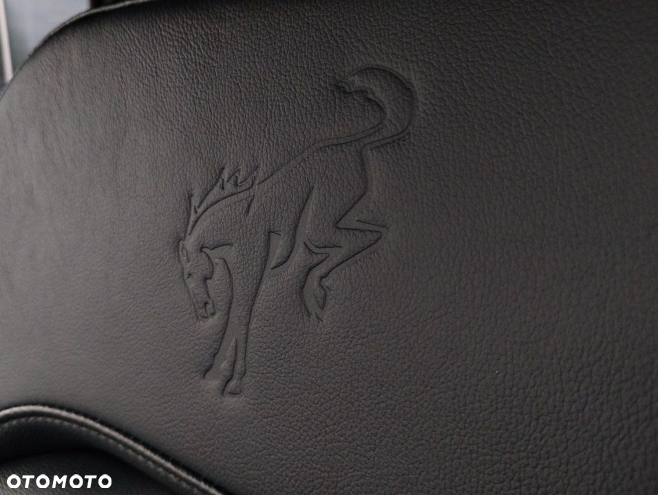 Ford Bronco - 26