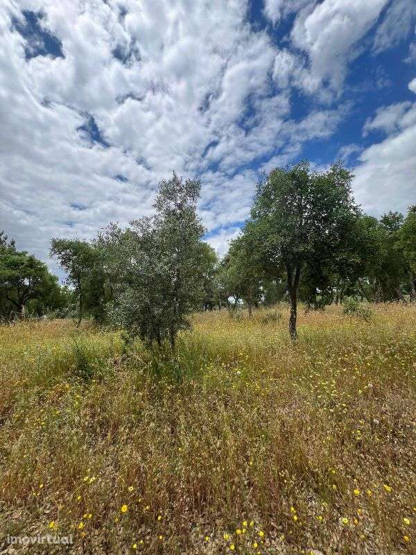 Terreno  para venda - Grande imagem: 2/4