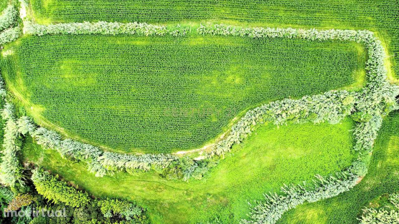 Terreno com Viabilidade de Construção, nos Ginetes - Grande imagem: 5/5
