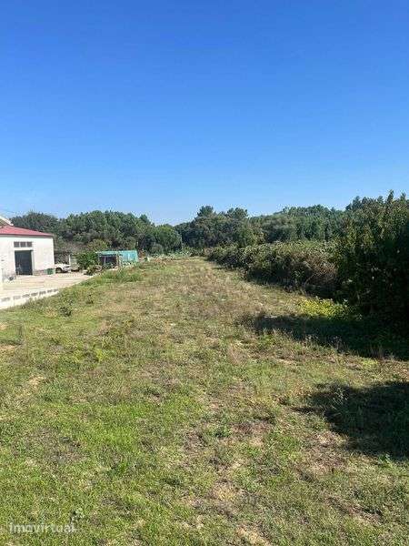 Terreno Urbano – 1 230 m² |  Malhapão, Oliveira do Bairro - Grande imagem: 2/6