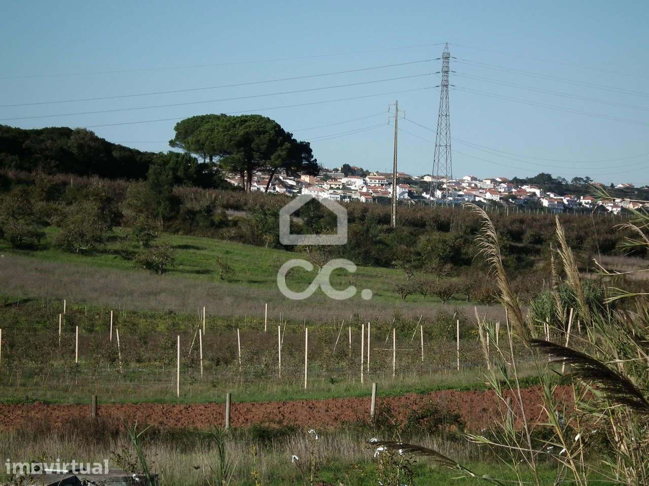 Terreno Rústico com 1240 m² - Grande imagem: 5/16