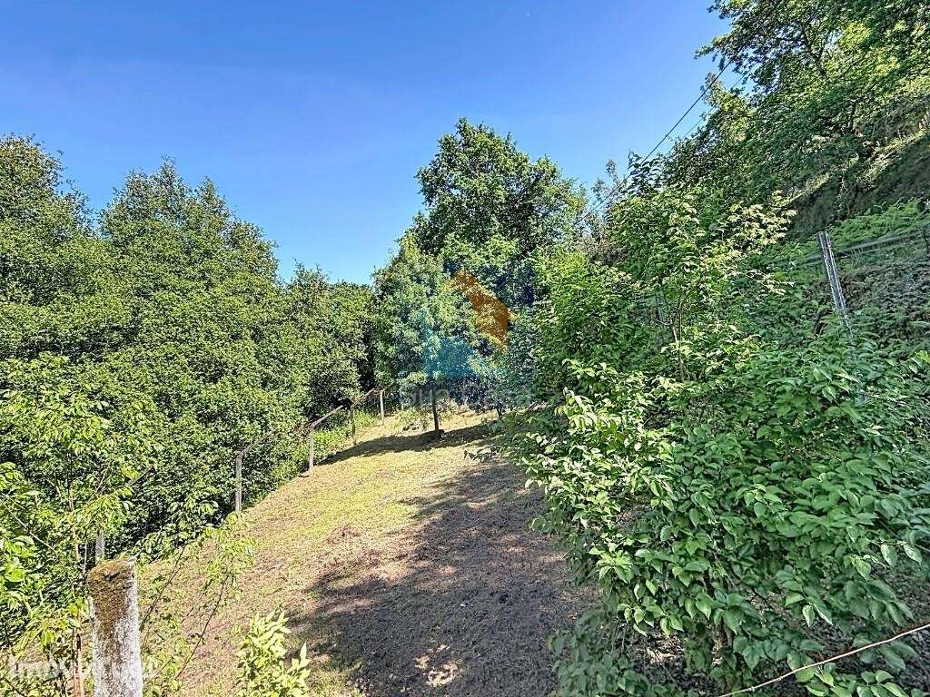 Venda Moradia - Grande imagem: 4/24