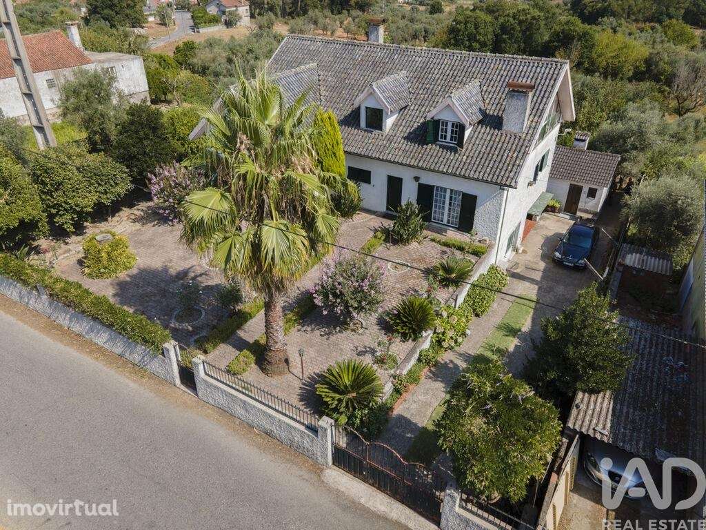 Quinta T5 em Lajeosa do Dão de 315,00 m2 - Grande imagem: 3/29