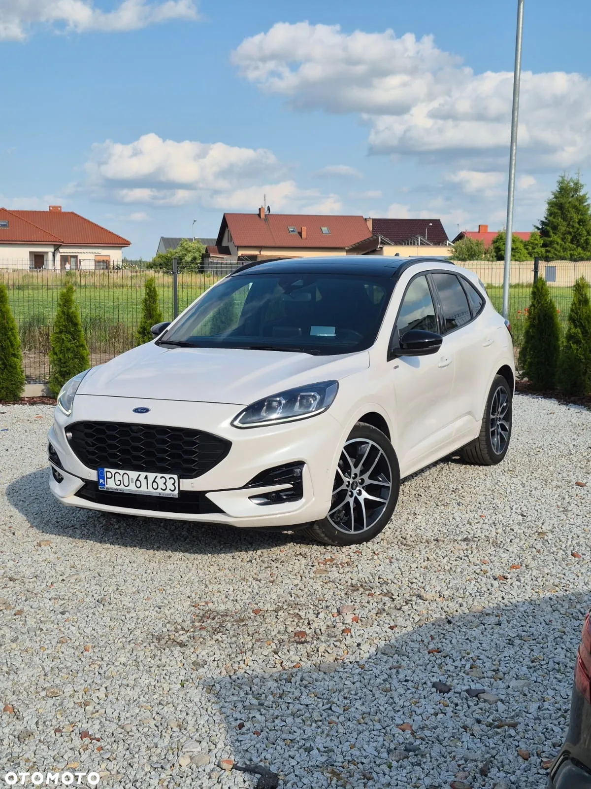 Ford Kuga 2.5 FHEV FWD ST-Line - 2