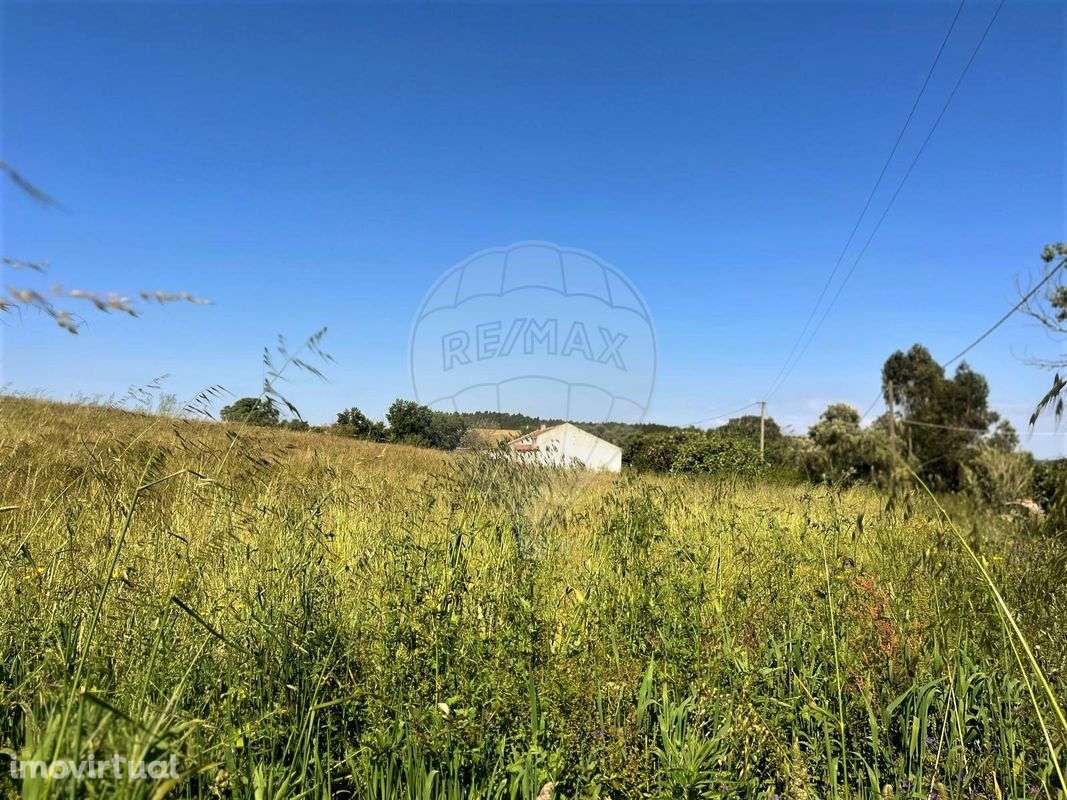 Quinta T3 para venda - Grande imagem: 5/13