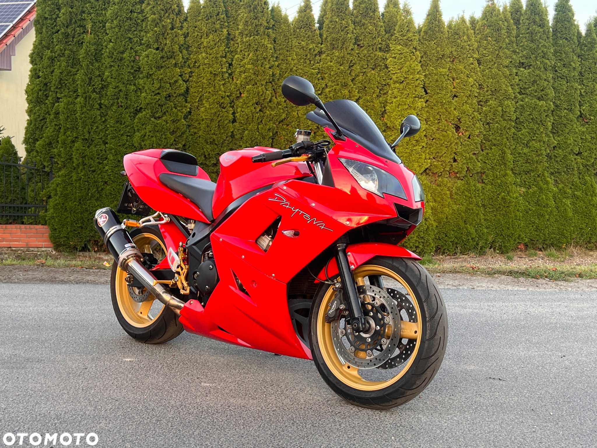 Triumph Daytona - 2
