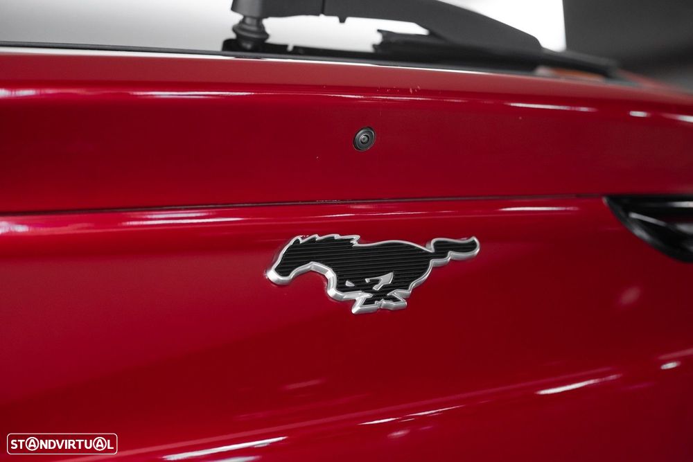Ford Mustang Mach-E Standard - 13