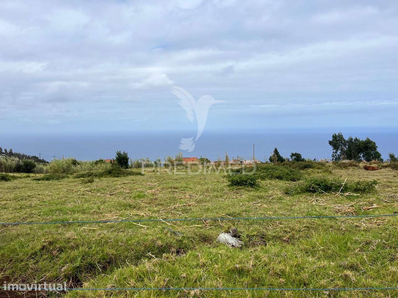 TERRENO COM 3.000M2 VISTA MAR NO SITIO DO CABO-PONTA DO PARGO-CALHETA - Grande imagem: 4/6
