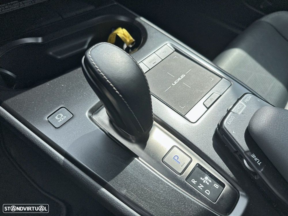 Lexus UX 300e Luxury - 12