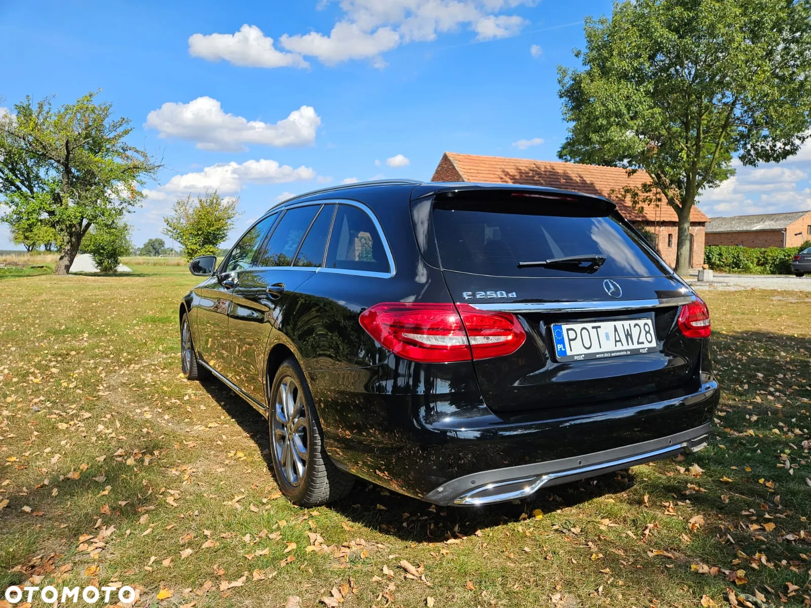 Mercedes-Benz Klasa C 250 d 4-Matic 9G-TRONIC - 20