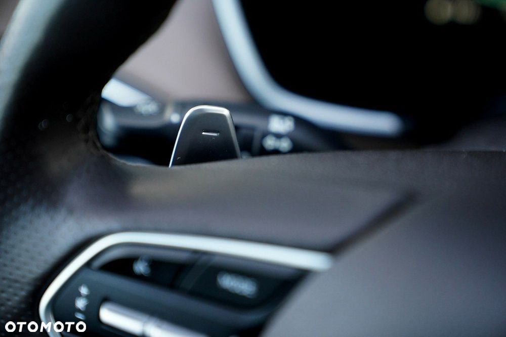 Hyundai Santa Fe - 39