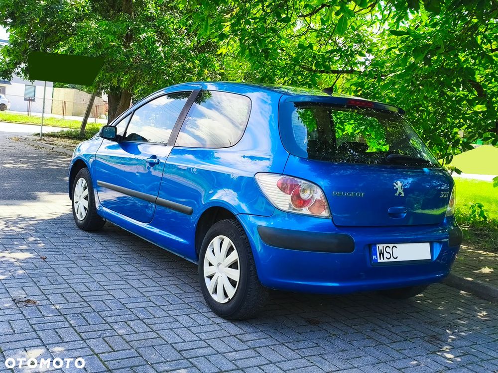 Peugeot 307 1.6 XS - 26