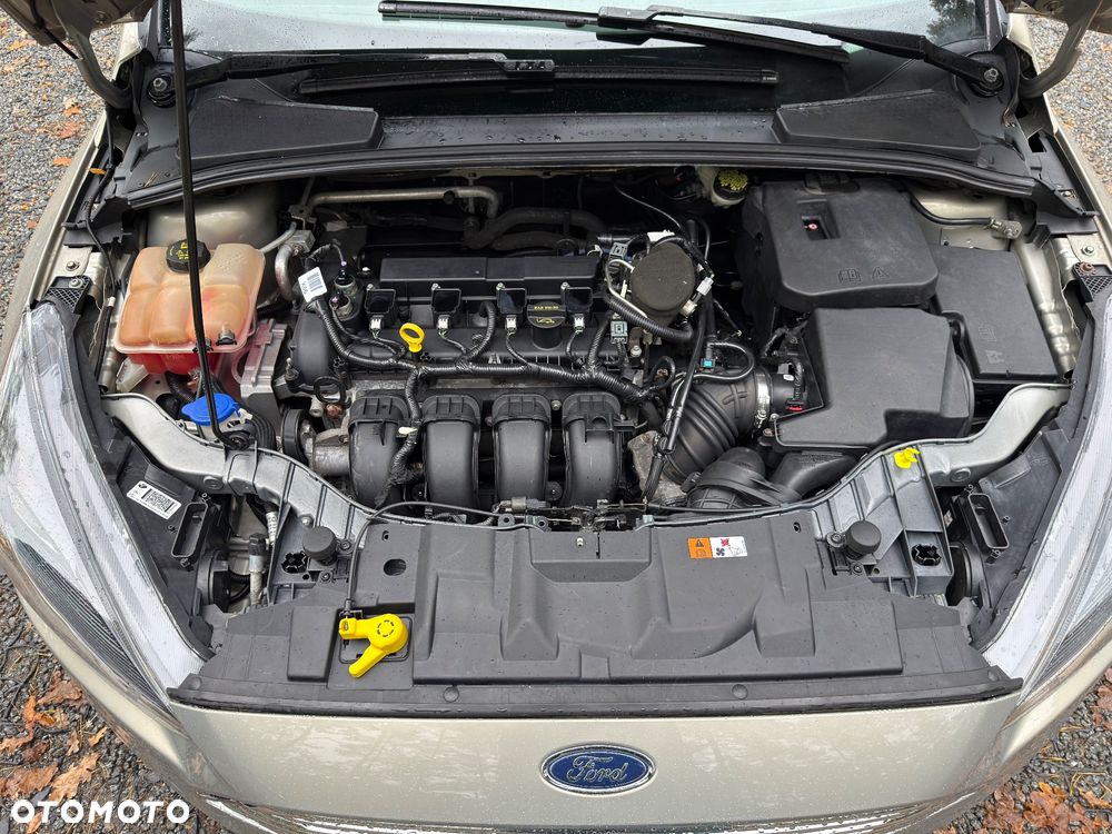 Ford Focus - 29