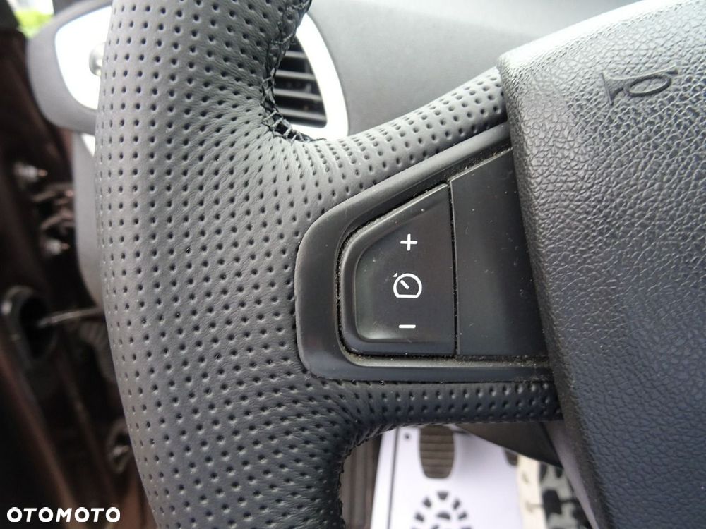 Renault Scenic - 14