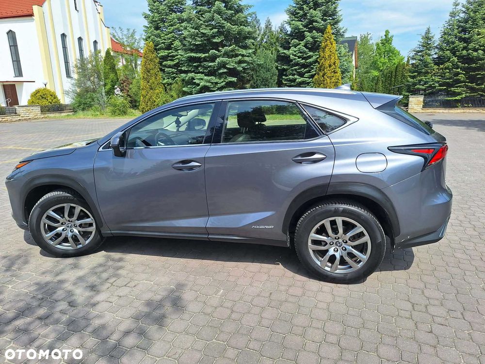 Lexus NX - 5