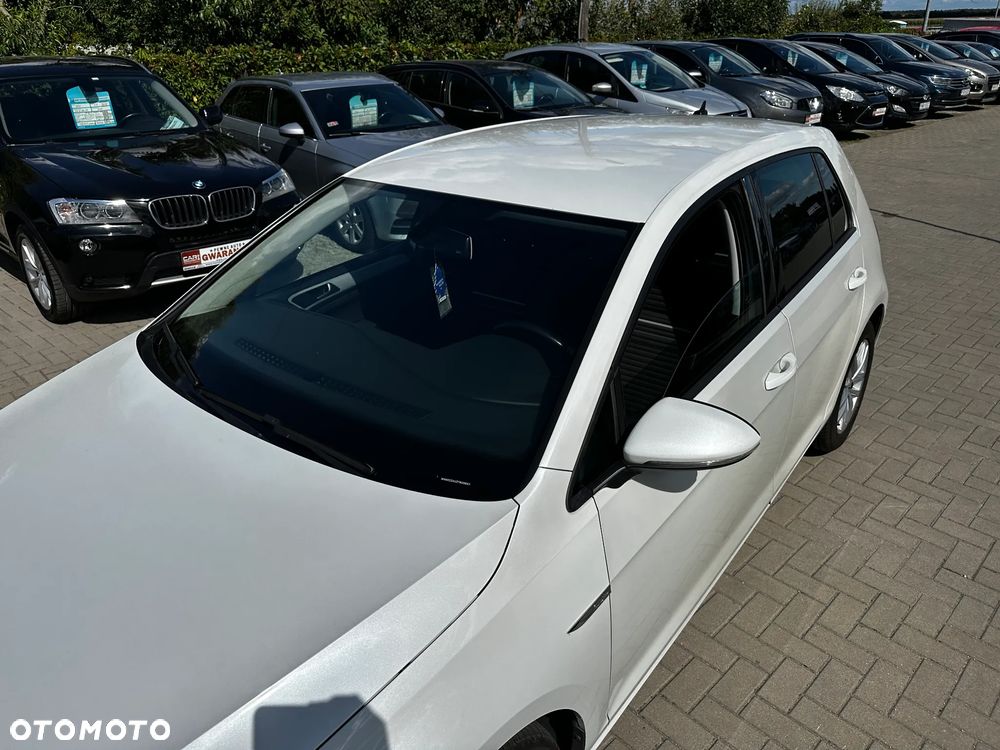 Volkswagen Golf - 32