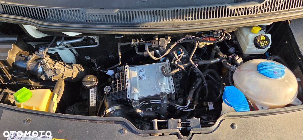 Volkswagen T6 - 19