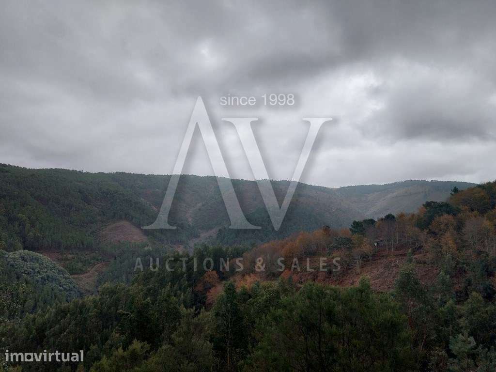 Terreno rústico - Vale Covo, Área de Gondramaz - VILA NOVA - MIRAND... - Grande imagem: 3/5