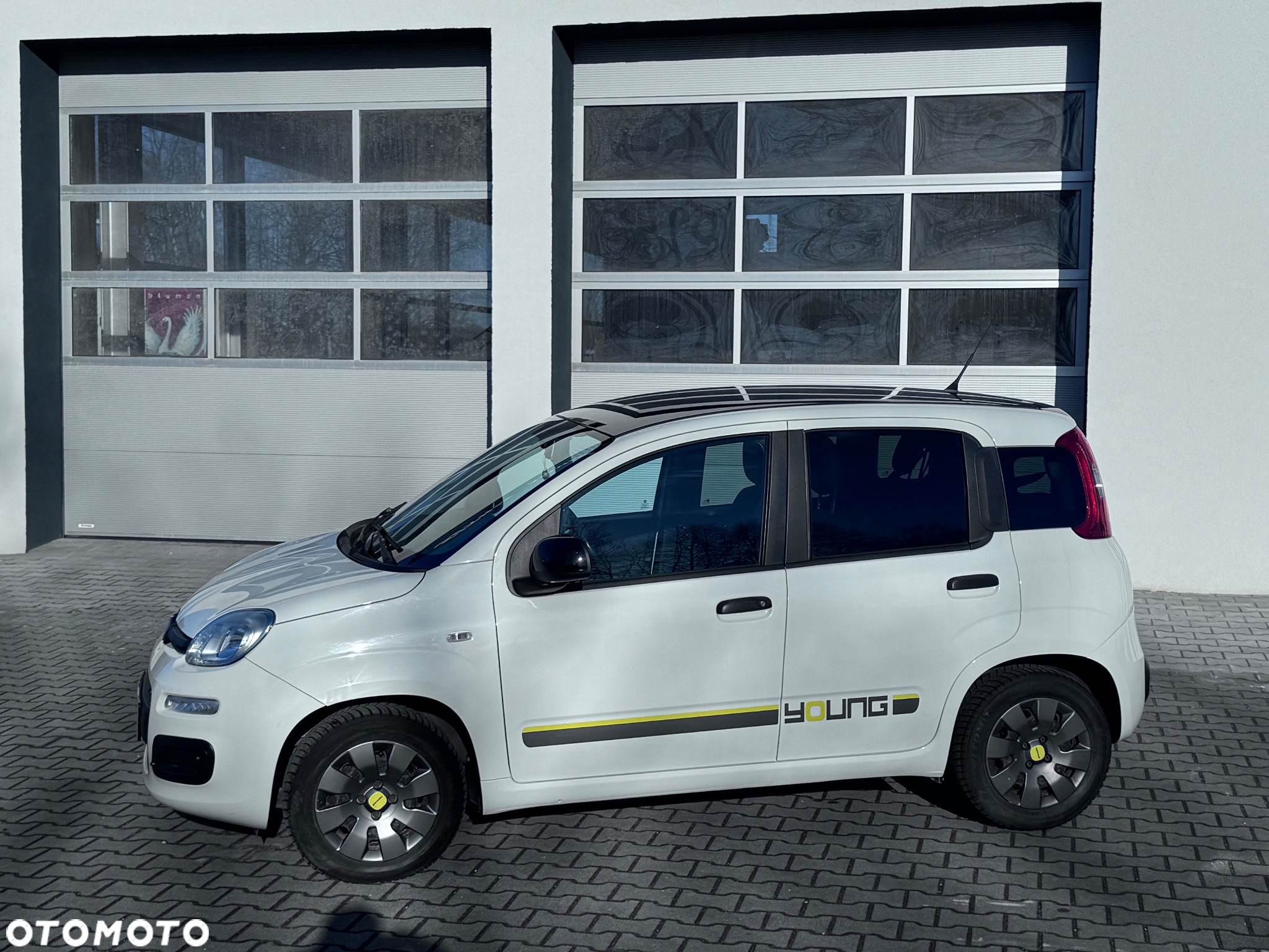 Fiat Panda 1.2 Young - 13