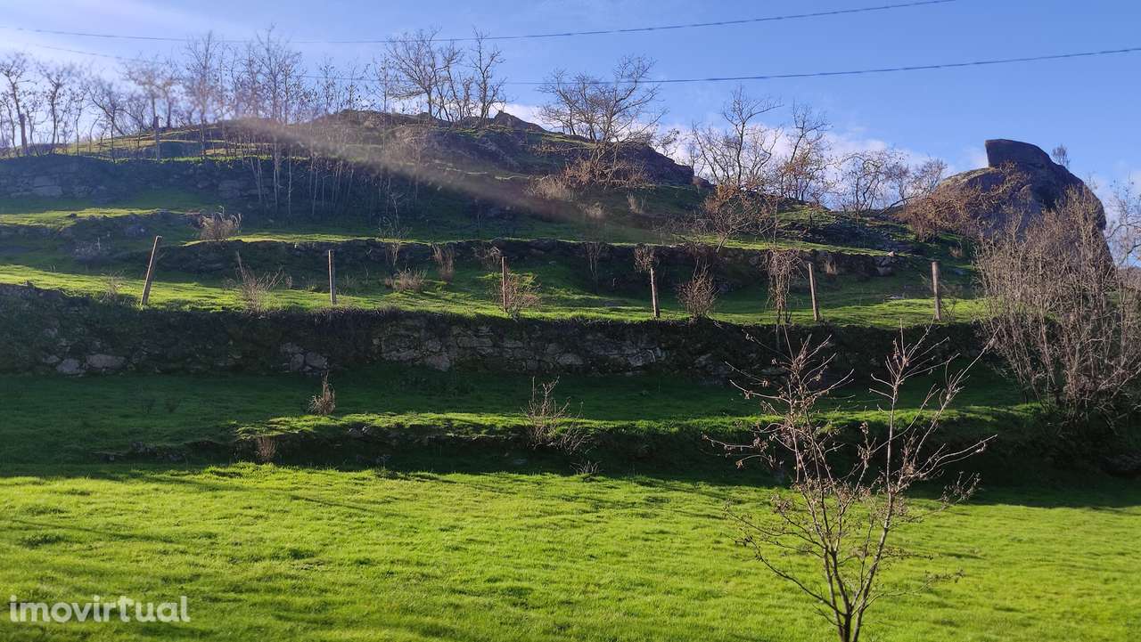 Terreno Rústico  Venda em Loivos do Monte,Baião - Grande imagem: 3/11