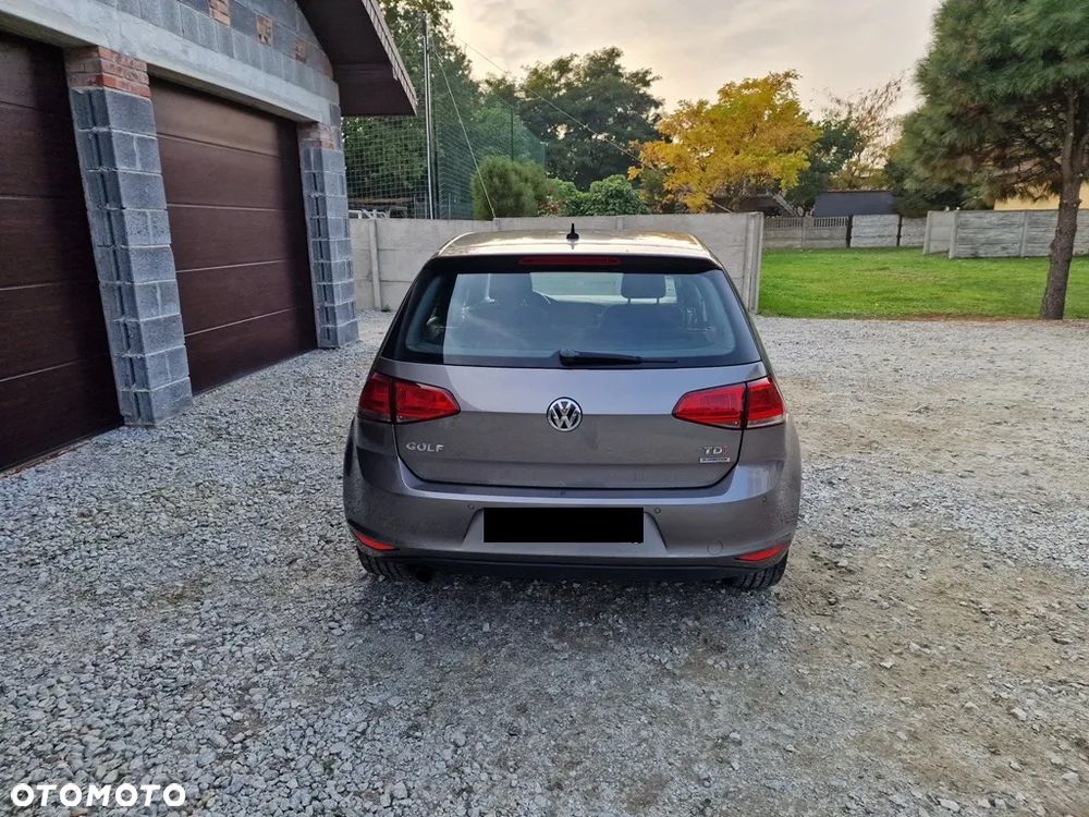 Volkswagen Golf - 9