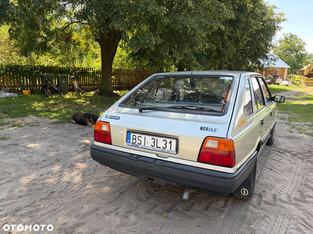 Polonez Caro - 4