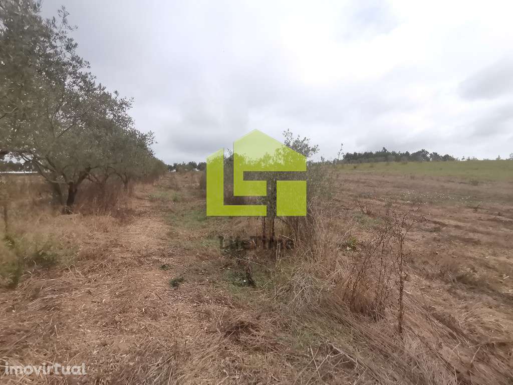 Quinta em Soure - Grande imagem: 4/13