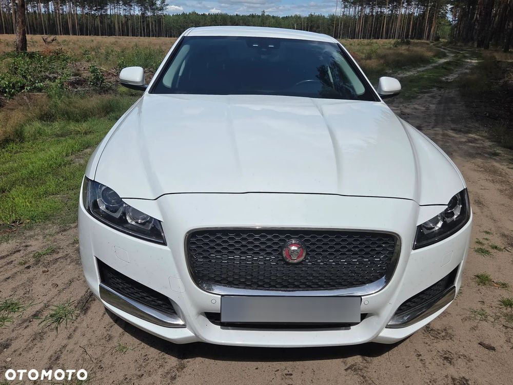 Jaguar XF 2.0 i4D Prestige - 1