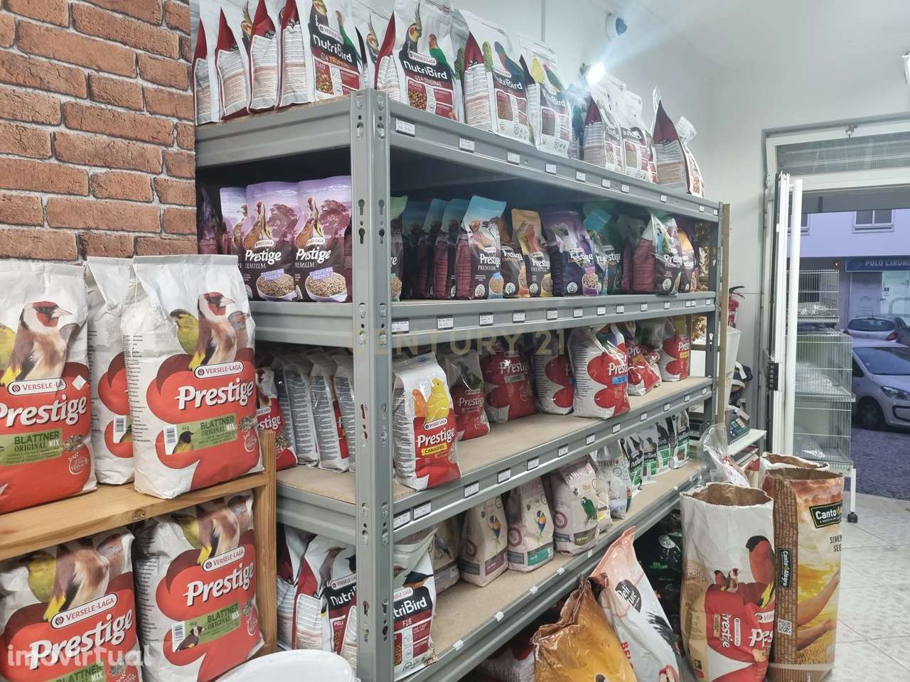 Trespasse de Loja de Animais - Grande imagem: 2/19