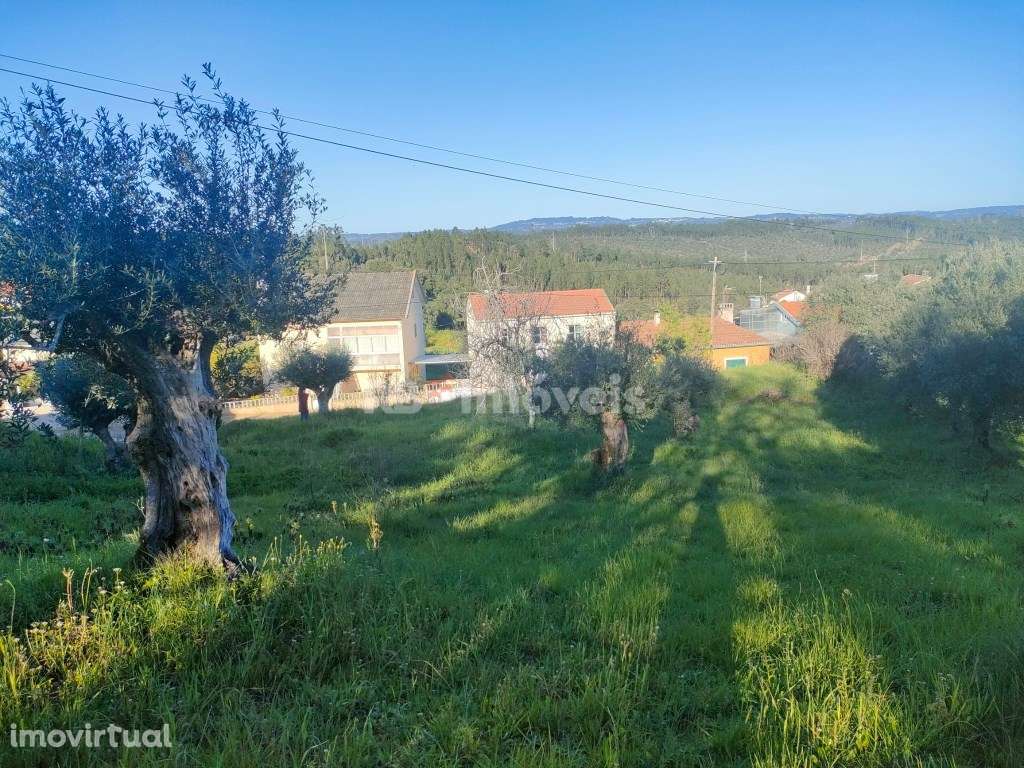 Terreno Urbano com 830m2 - São Simão, Tomar - Grande imagem: 4/6