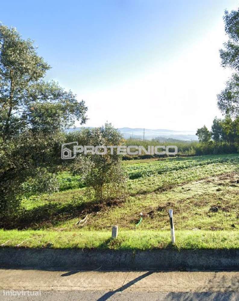 Terreno c/ 10.000m2 – Albergaria-a-Velha - Grande imagem: 2/5