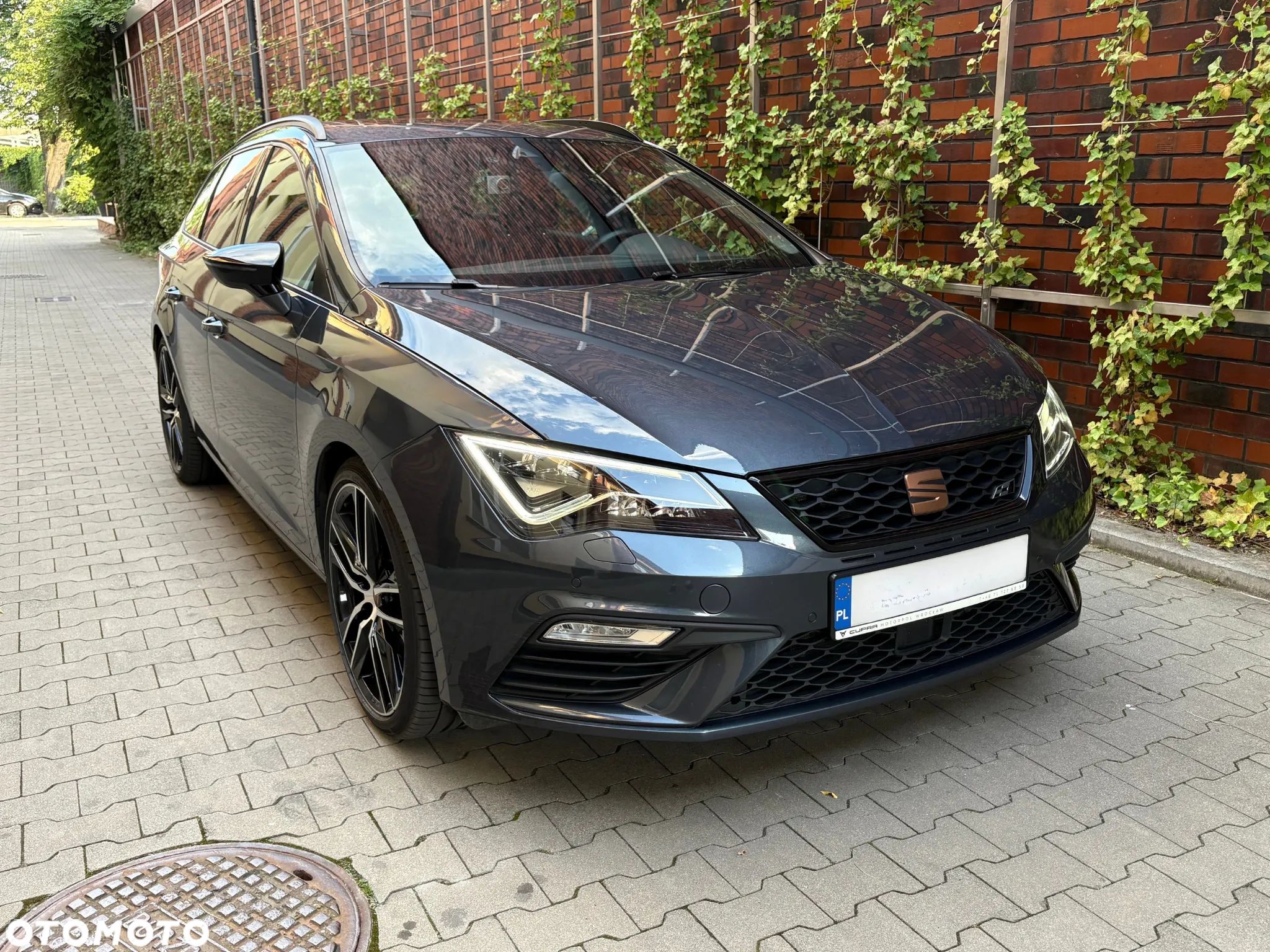 Seat Leon - 1