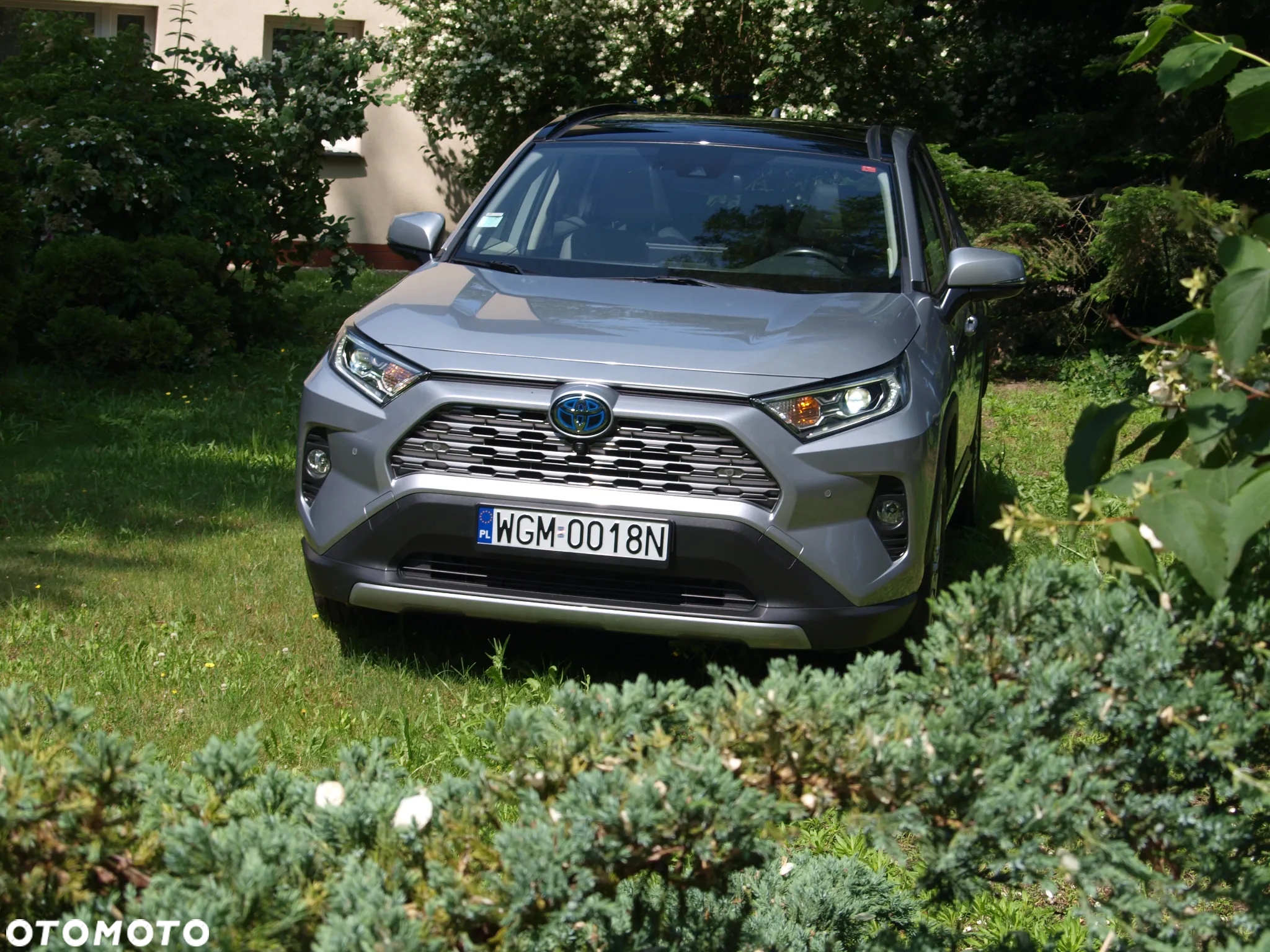 Toyota RAV4 2.5 Hybrid Executive 4x2 - 8