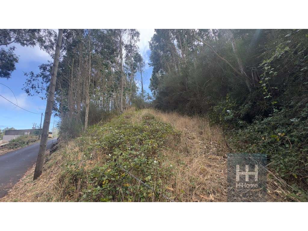 Terreno na Camacha com 2.490 m2 com PIP aprovado para construção de... - Grande imagem: 2/13
