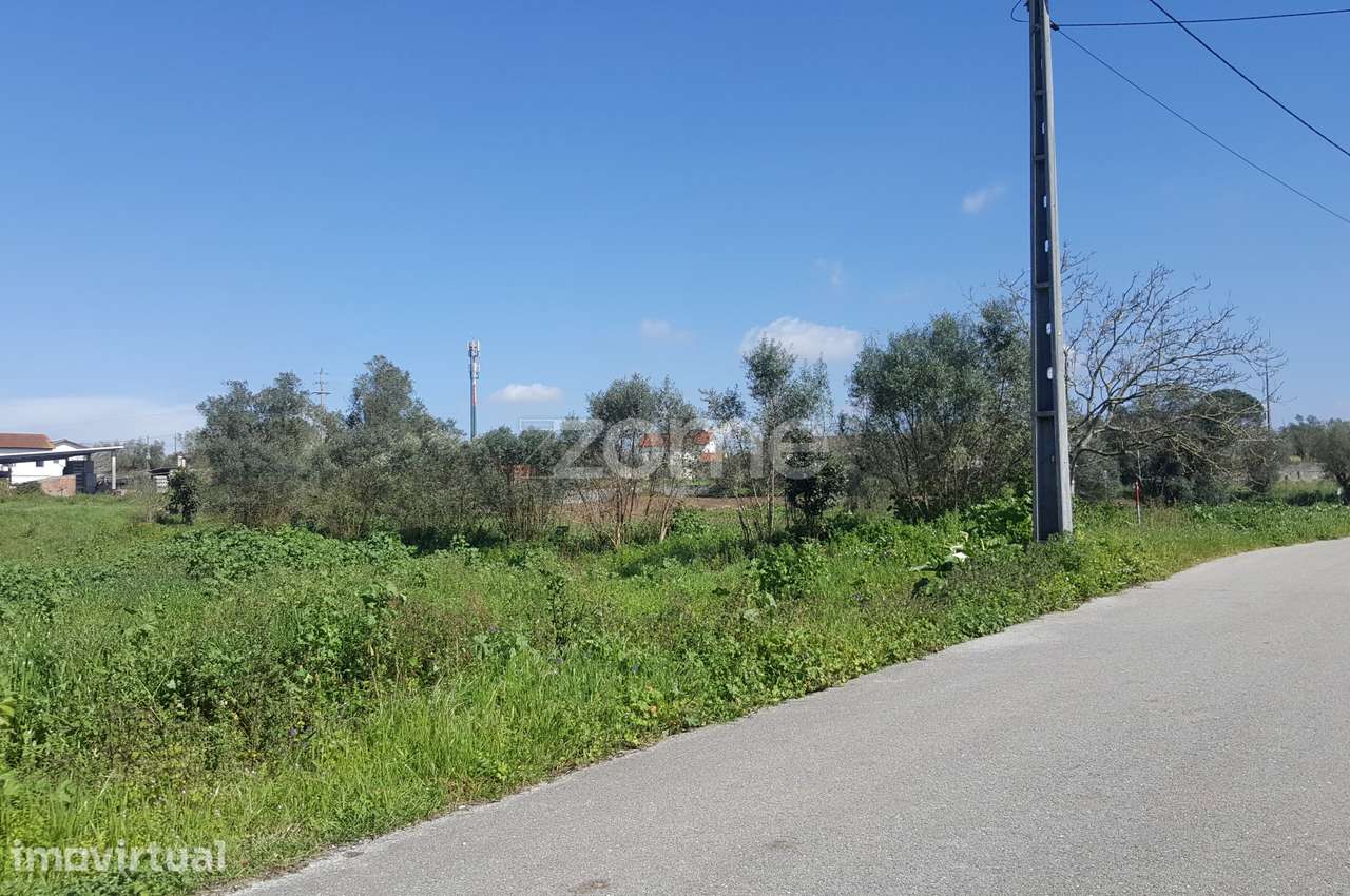Terreno urbanizável em Milagres - Grande imagem: 5/17