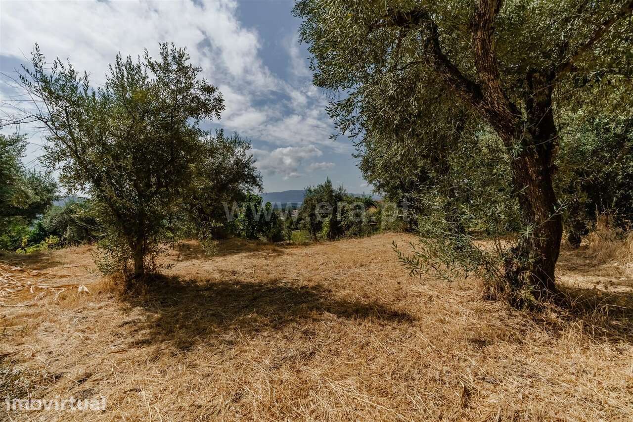 Terreno / Covilhã, Tortosendo - Grande imagem: 2/20