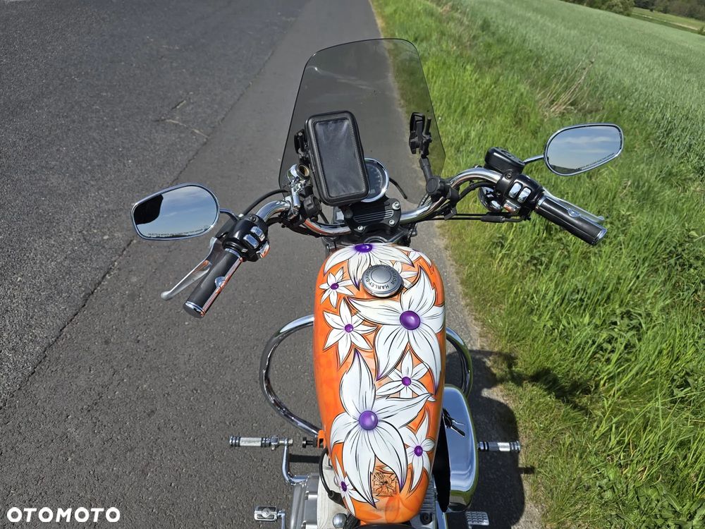 Harley-Davidson Sportster Roadster 883R - 11