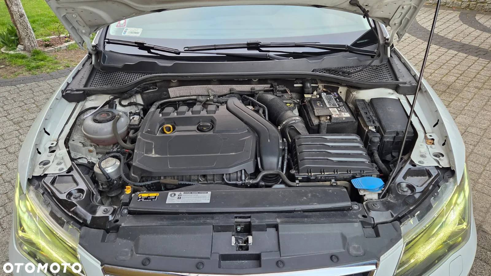 Seat Leon 1.5 EcoTSI Evo Xcellence S&S - 6