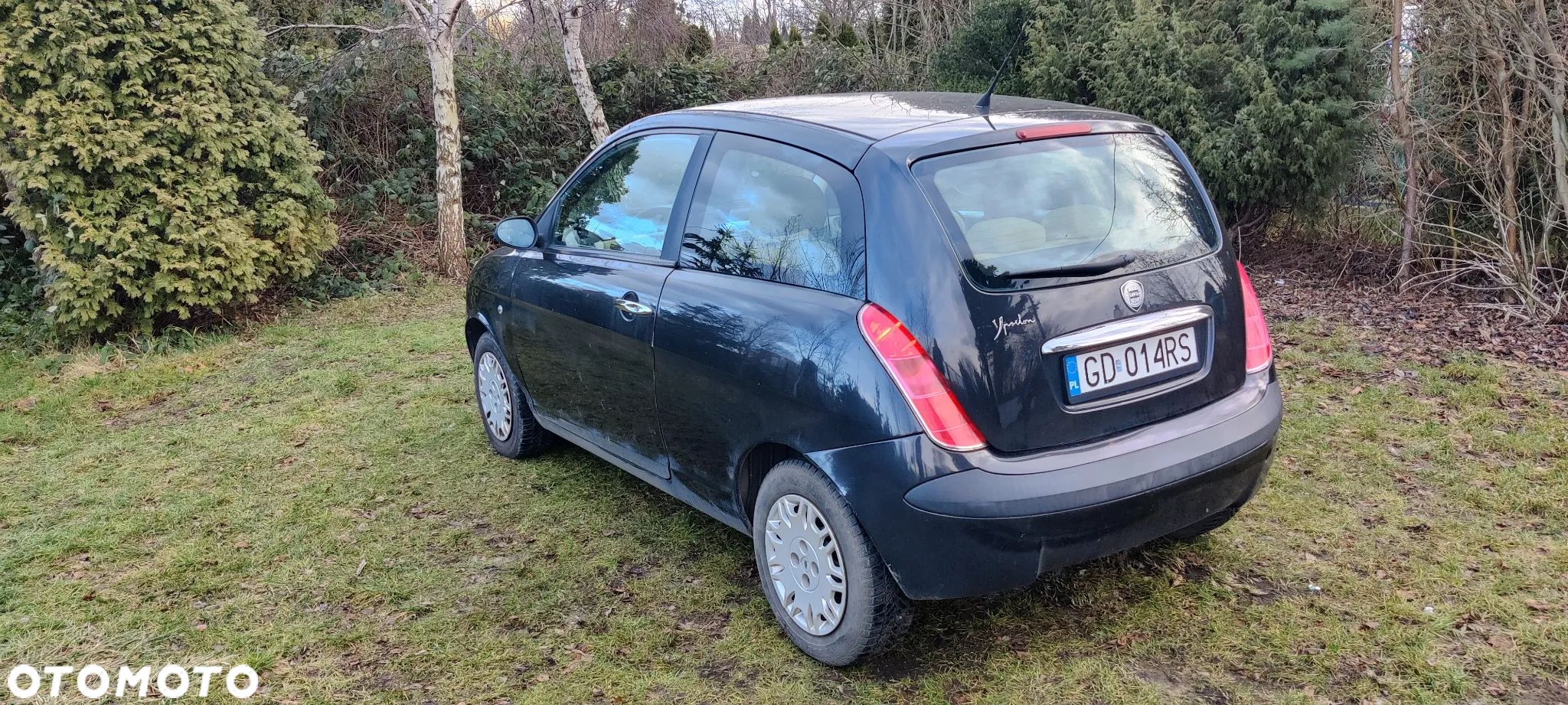 Lancia Ypsilon 1.2 8v Argento - 2