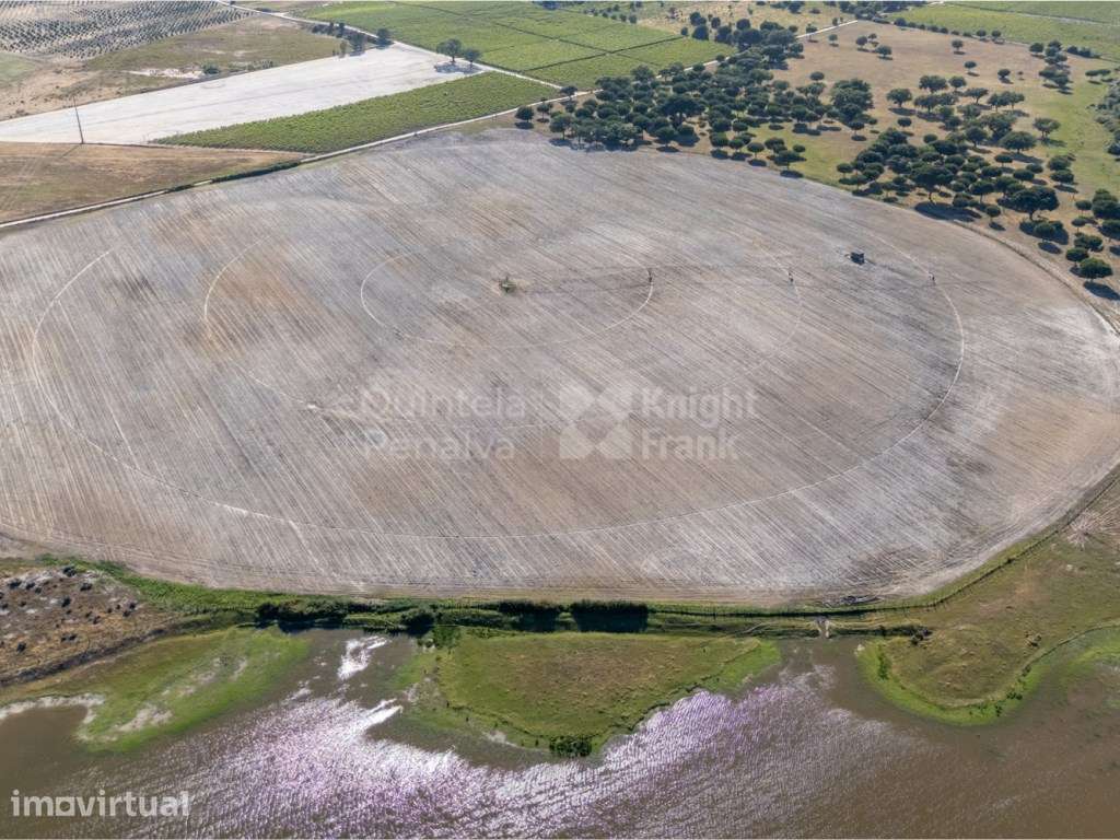 Terreno com 79 ha com viabilidade de construção em Palmela - Grande imagem: 4/25