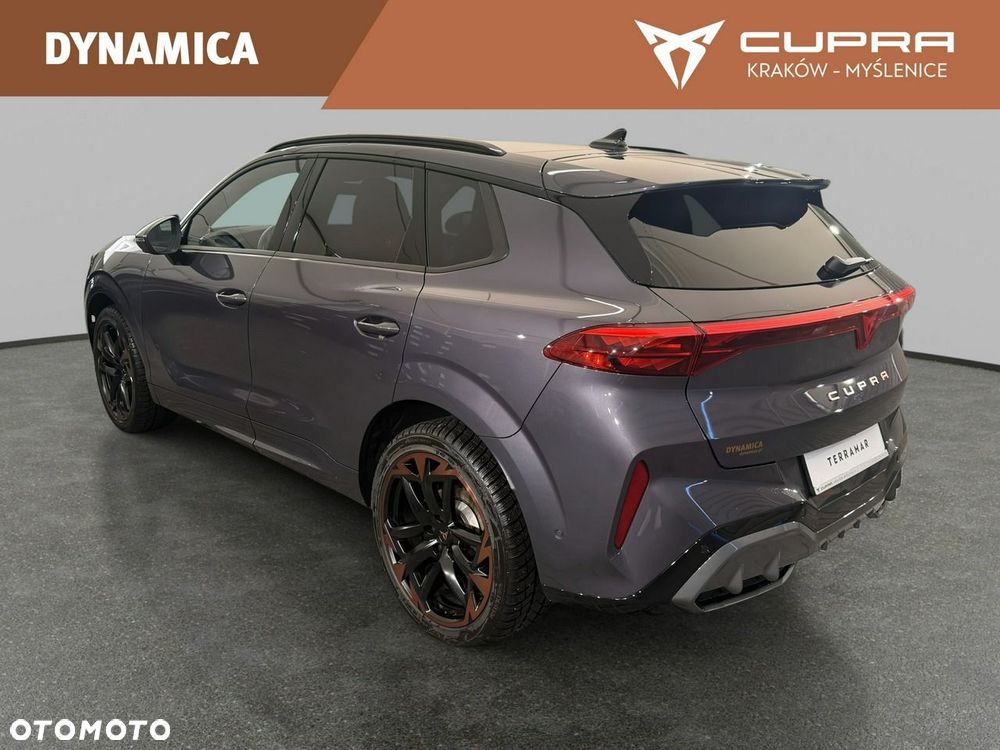 Cupra Terramar - 9