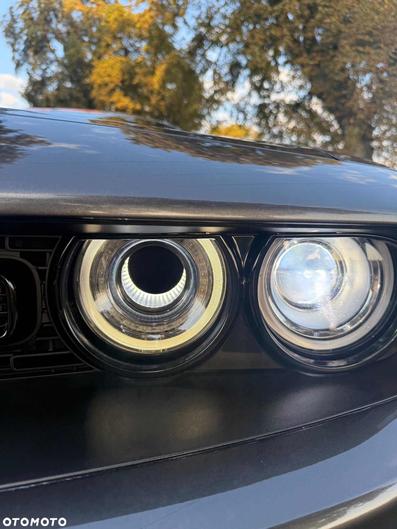 Dodge Challenger Automatik SXT Plus - 14