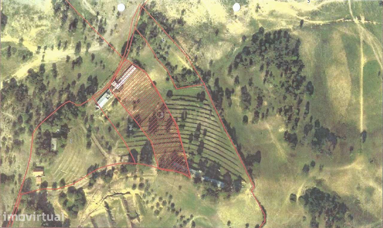 Azambuja | Terrenos vendidos em conjunto com 124.520m2 | Vistas sobre - Grande imagem: 4/10