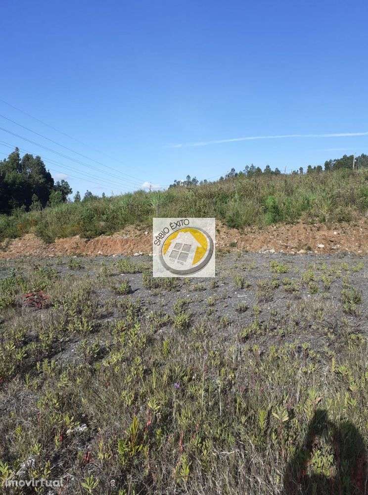 Vende-se Lotes Terreno em Olival - Grande imagem: 3/7