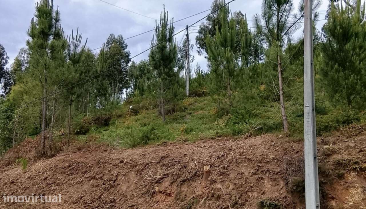Terreno de construção para venda, Argela, Caminha - Grande imagem: 4/11