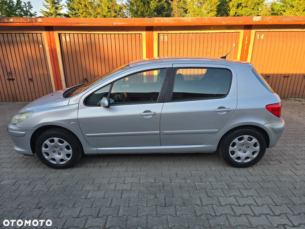 Peugeot 307 1.6 Premium - 7