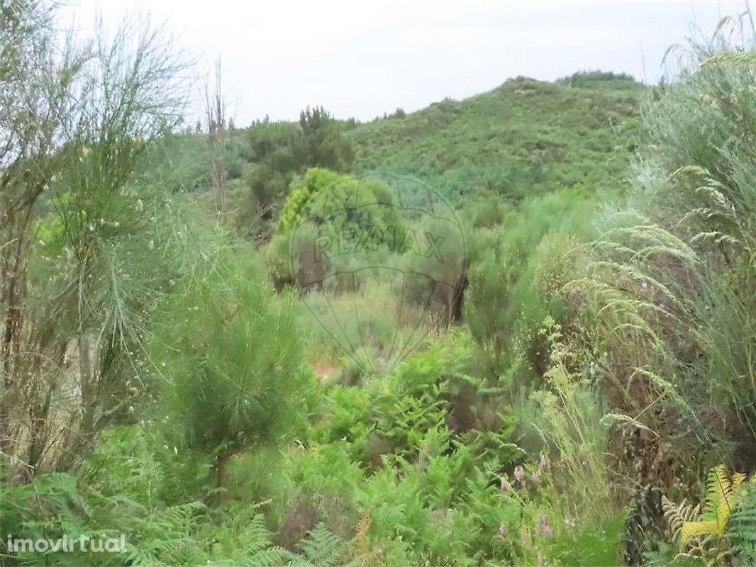 Quinta  para venda - Grande imagem: 4/9