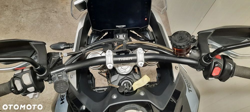 Triumph Tiger - 12