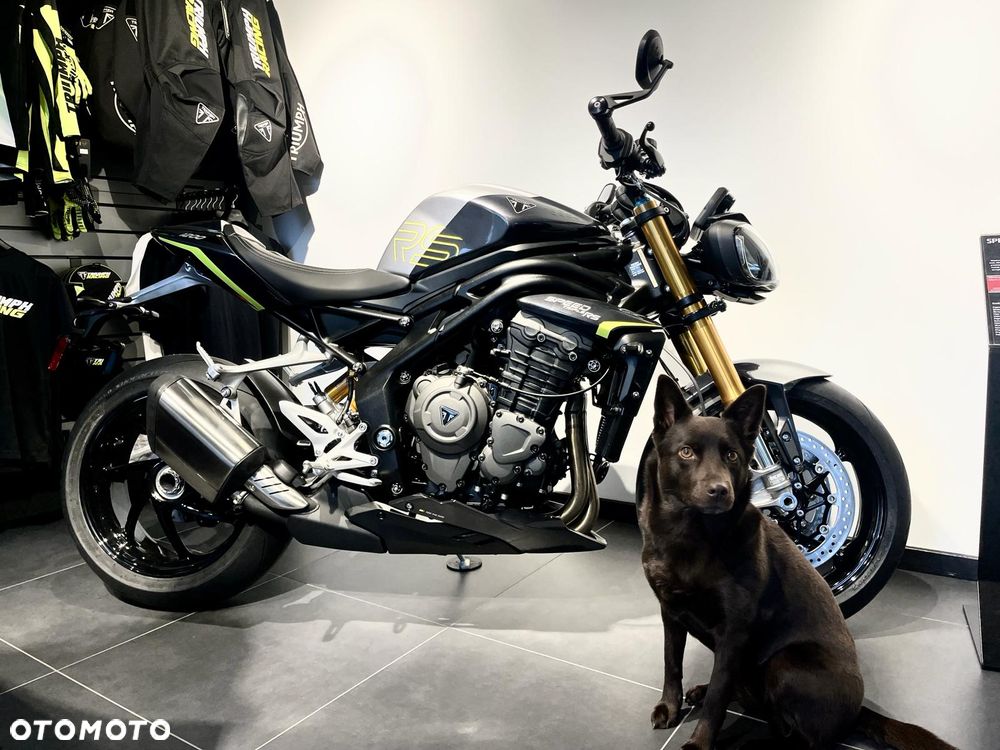 Triumph Speed Triple - 12