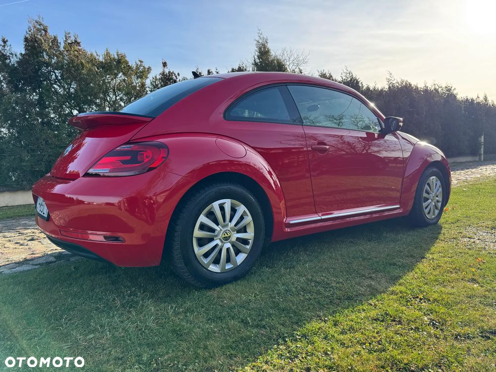 Volkswagen Beetle - 8